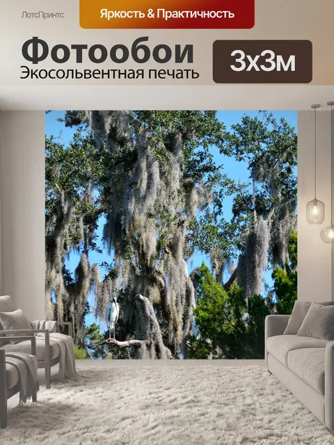 Фотообои Дерево Аист на дереве