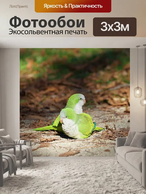 Фотообои Птицы