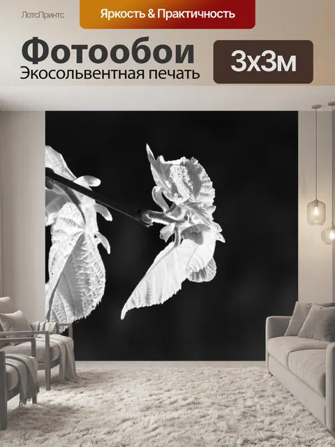 Фотообои Листы