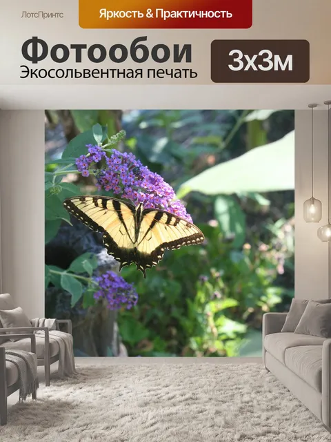 Фотообои Парусники бабочки