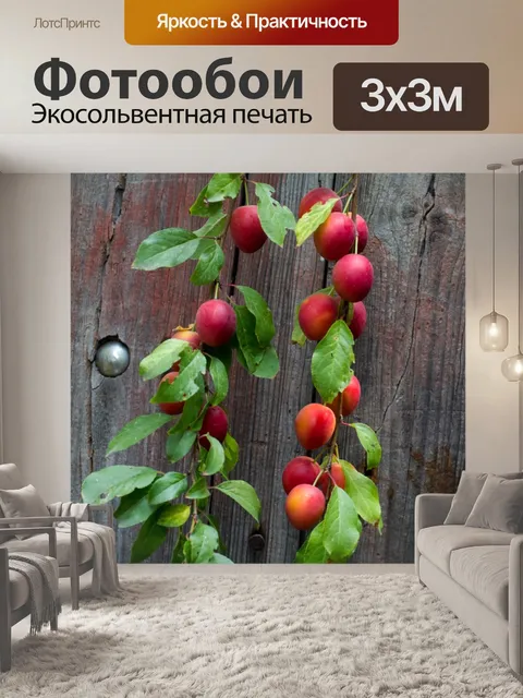 Фотообои Древесина