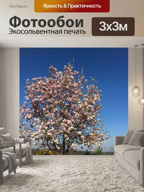 Фотообои Магнолии