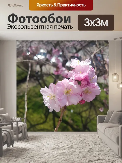 Фотообои Цветок