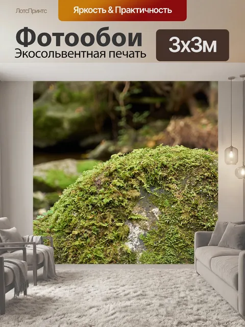 Фотообои Лес