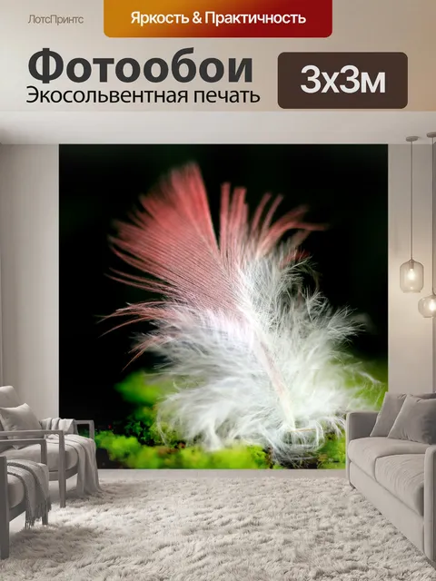 Фотообои Перо
