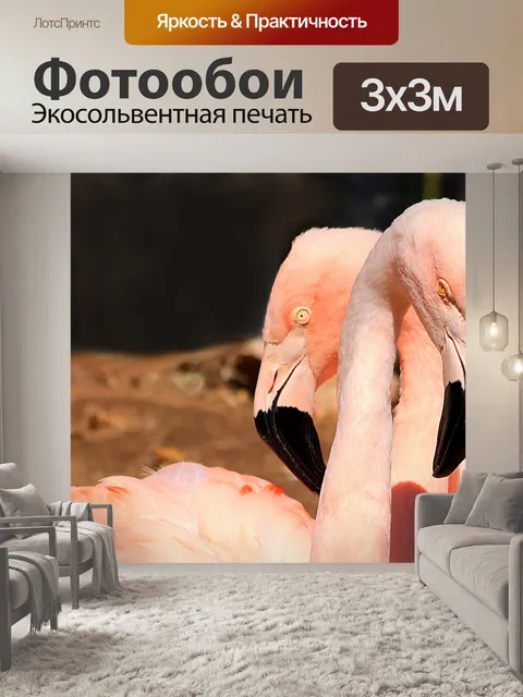 Фотообои Два розовых фона фламинго