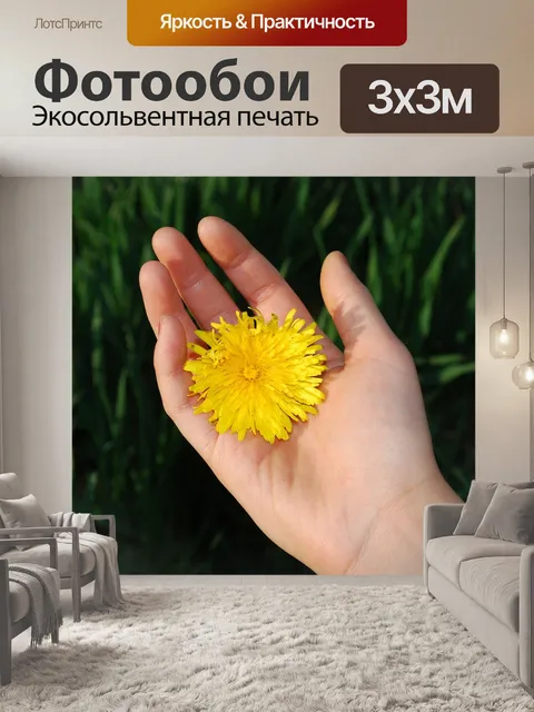 Фотообои Одуванчик