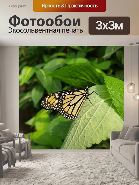 Фотообои Бабочка