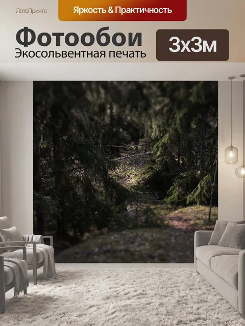 Фотообои Лес