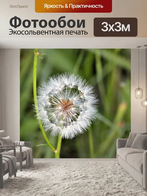 Фотообои Одуванчик отказался от приветствия