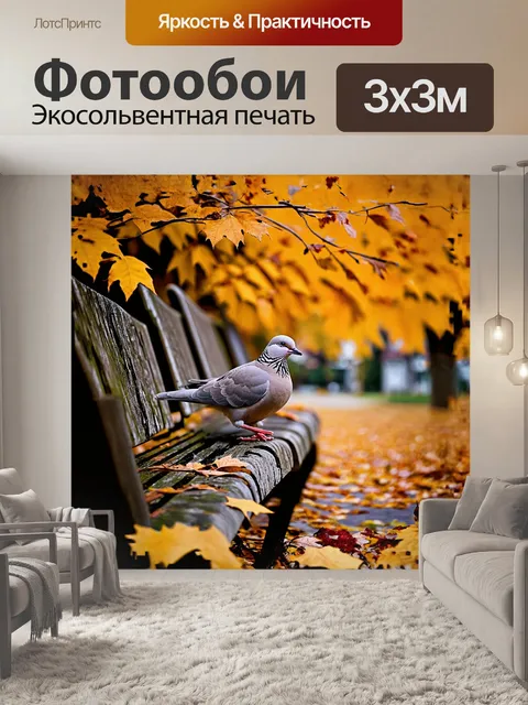 Фотообои голубь, усевшийся на заброшенной городской скамейке, окружен осенними листьями и увядущими цветами