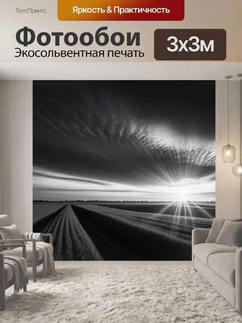Фотообои пейзаж с закатом фото чернобелый