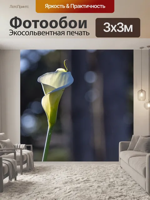 Фотообои Пасхальная лилия
