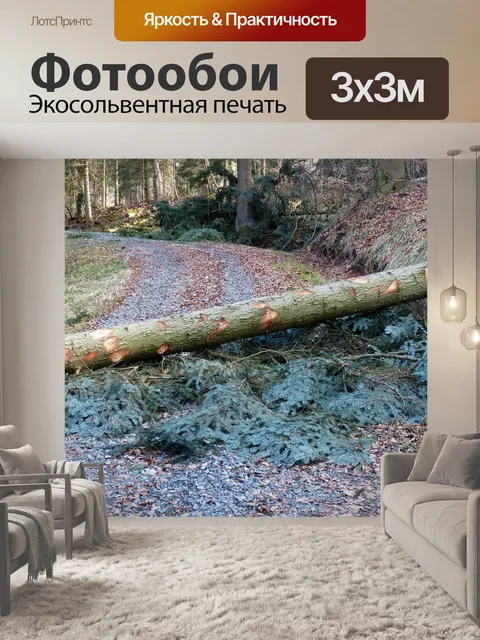 Фотообои Лесные работы