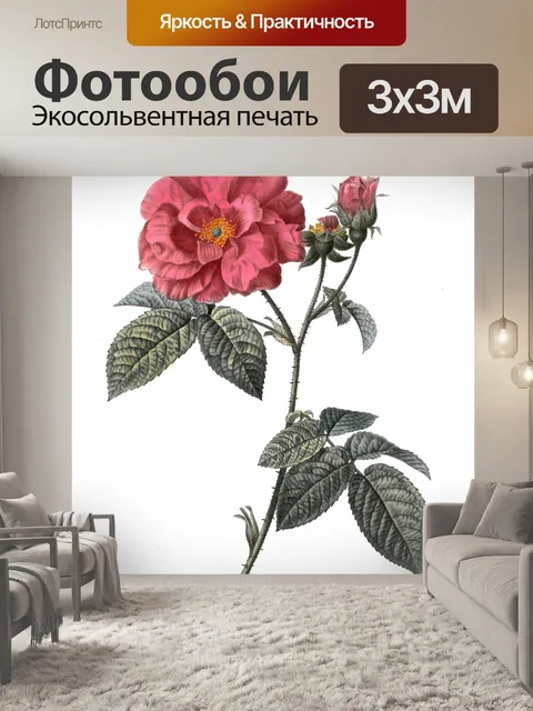 Фотообои Цветы