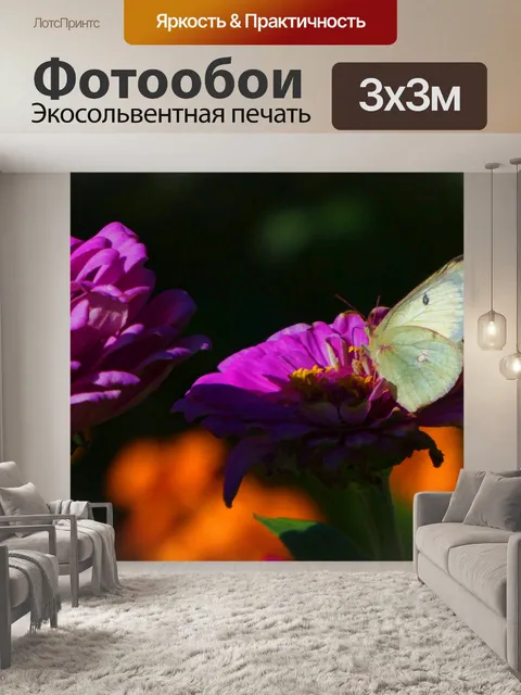 Фотообои Белая бабочка