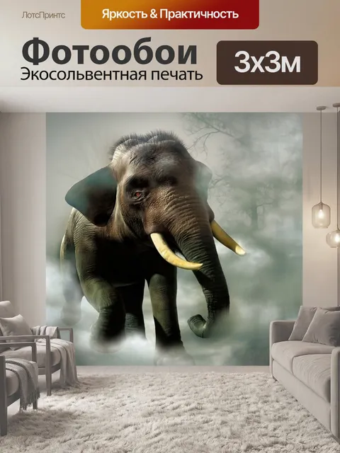 Фотообои Задний план