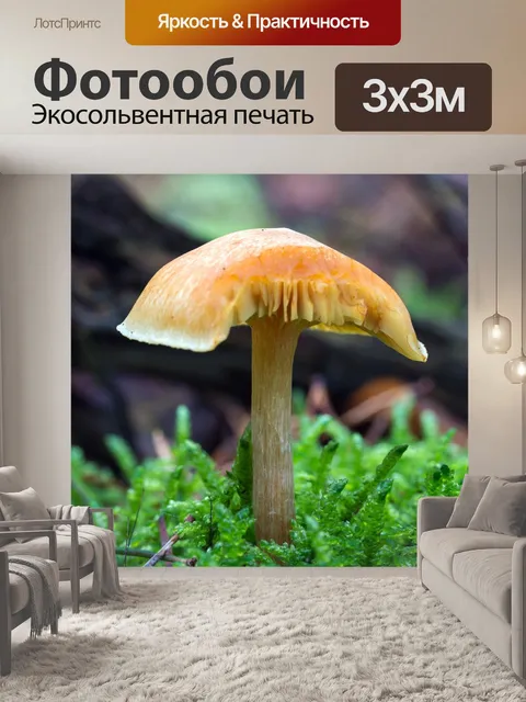 Фотообои Лес