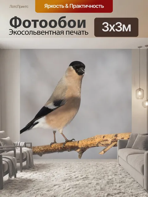 Фотообои Снегирь