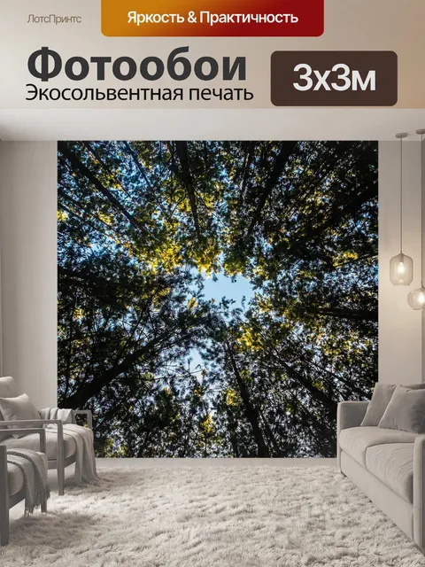 Фотообои Деревья