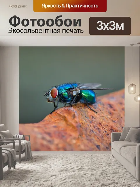 Фотообои Летать