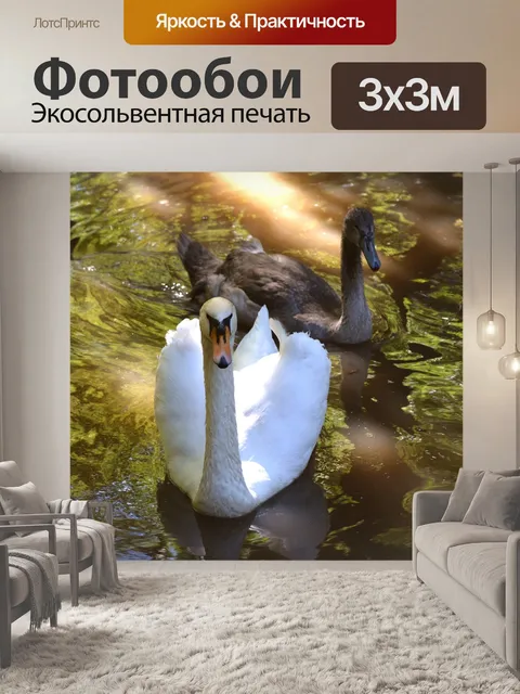 Фотообои Лебеди на озере