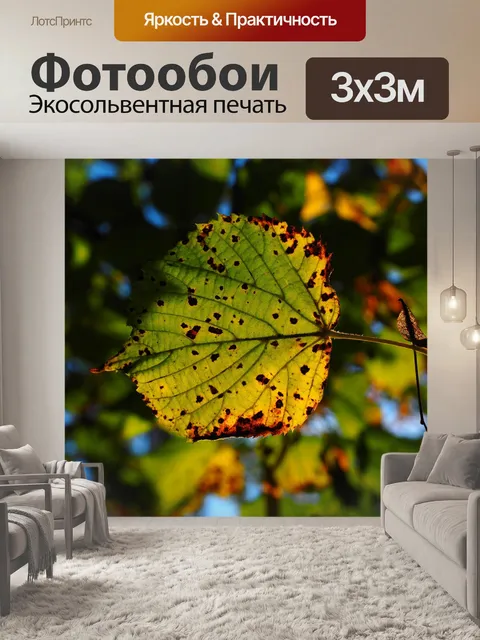 Фотообои Лист