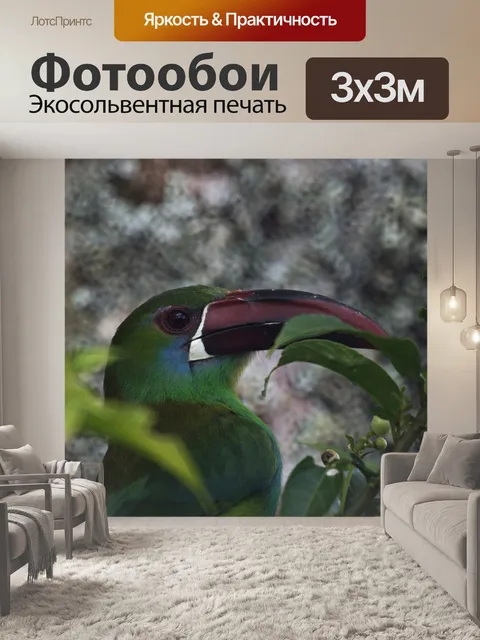 Фотообои Птицы