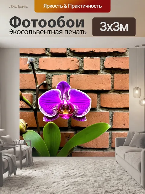 Фотообои орхидея на фоне старых кирпичных стен
