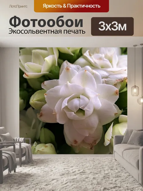 Фотообои Цветы