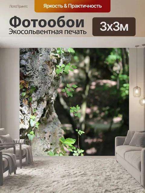Фотообои Лес