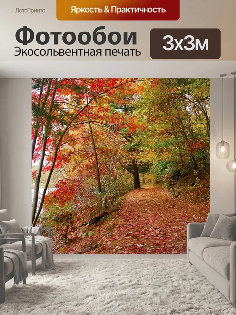 Фотообои Трейл в падении