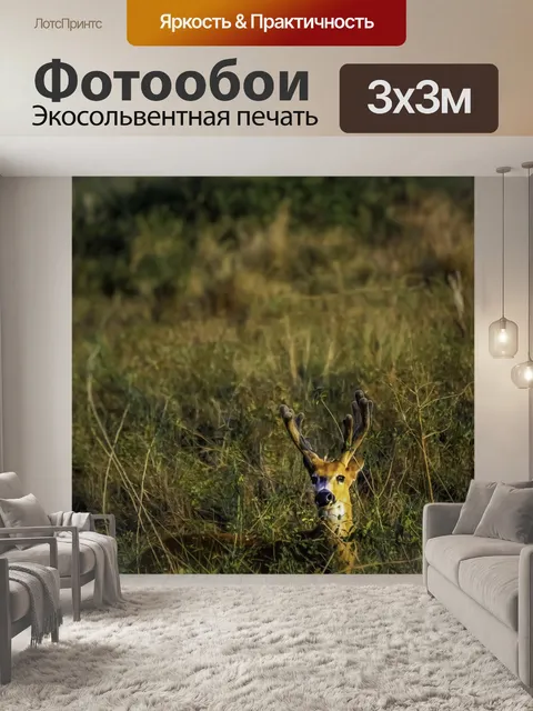 Фотообои Олень