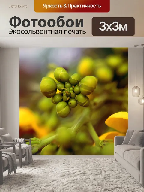 Фотообои Бутербродные цветы 3