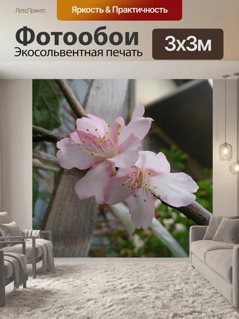 Фотообои Цветение вишни