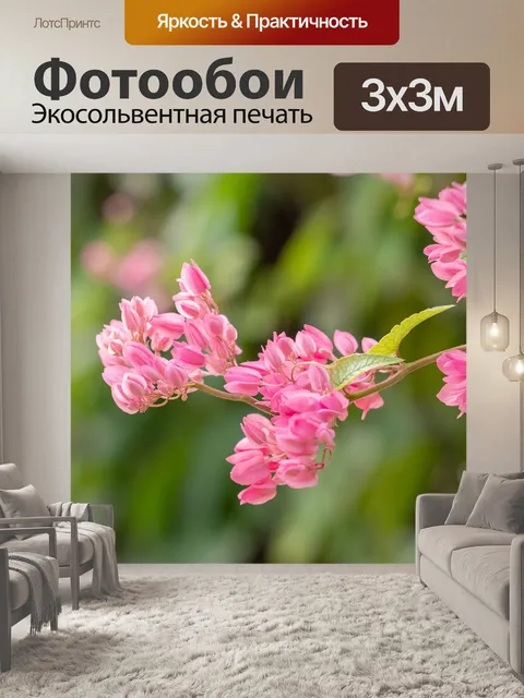 Фотообои Цветок орхидеи