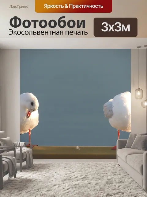 Фотообои Чайки