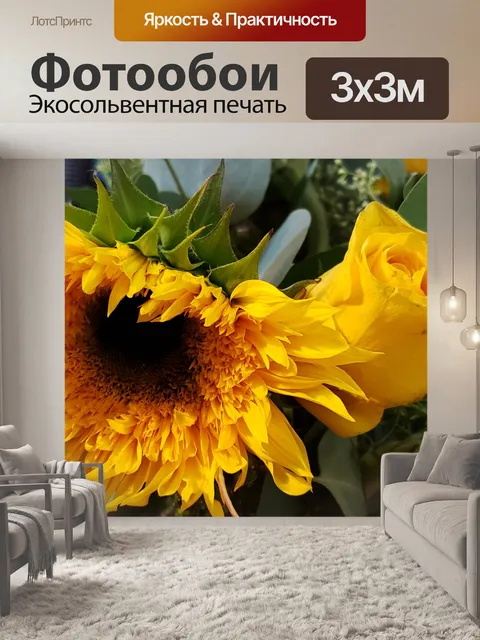 Фотообои подсолнечник и бутон розы