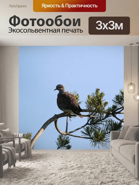 Фотообои Птицы