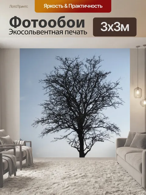 Фотообои Ночь