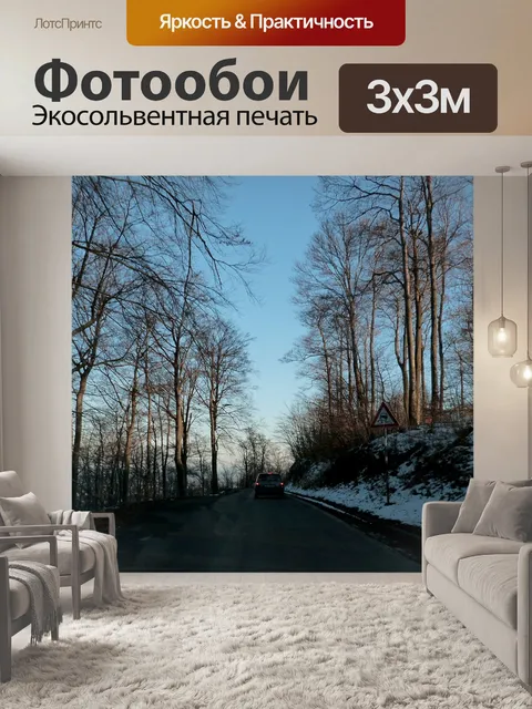 Фотообои Лес