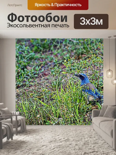 Фотообои Окрашенные Blue Bird