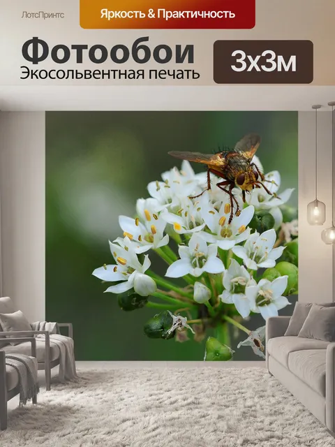 Фотообои Природа