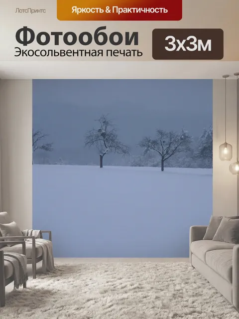 Фотообои Зима