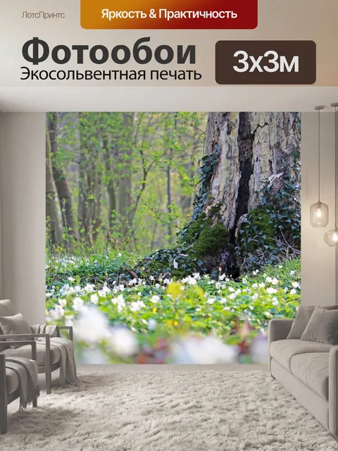 Фотообои Древесные анемоны
