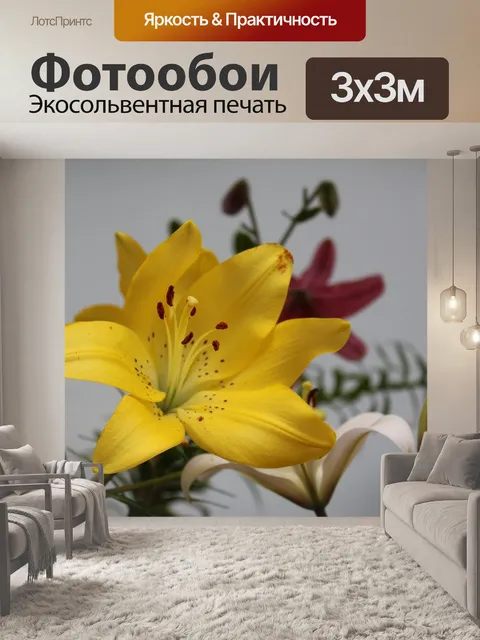Фотообои Лили