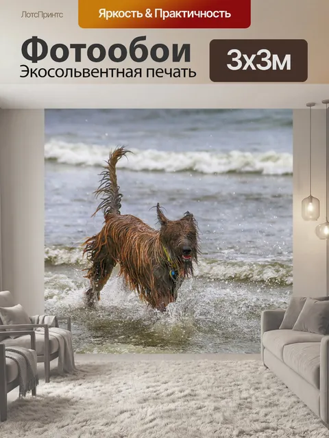Фотообои Собака