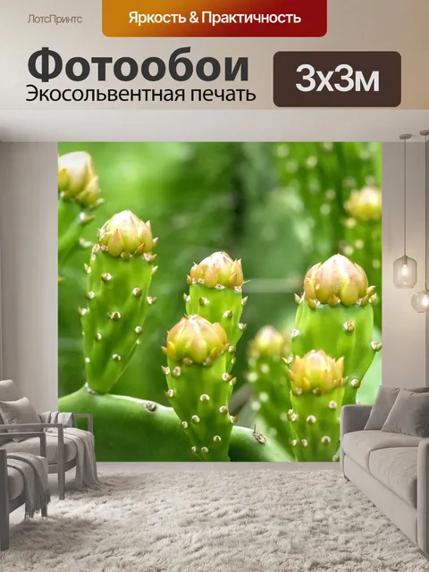 Фотообои Цветы