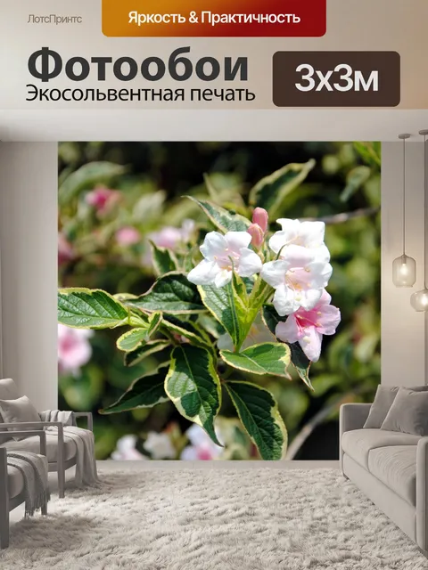 Фотообои Весенние цветы