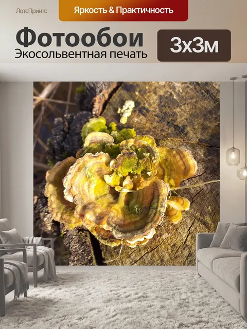 Фотообои Древесина